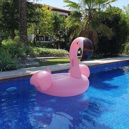 Casa Los Flamencos 莫纳奇尔 外观 照片